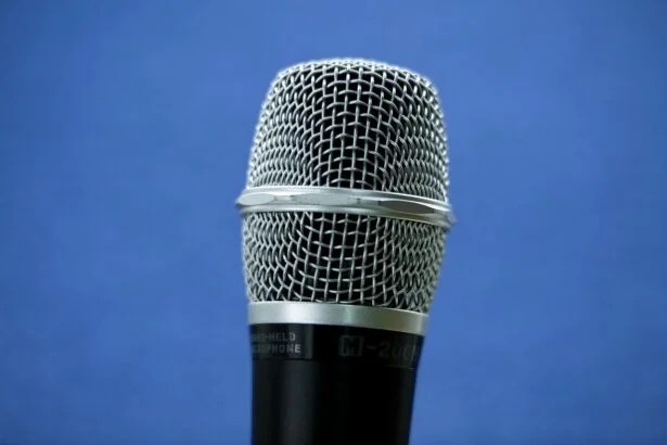mic